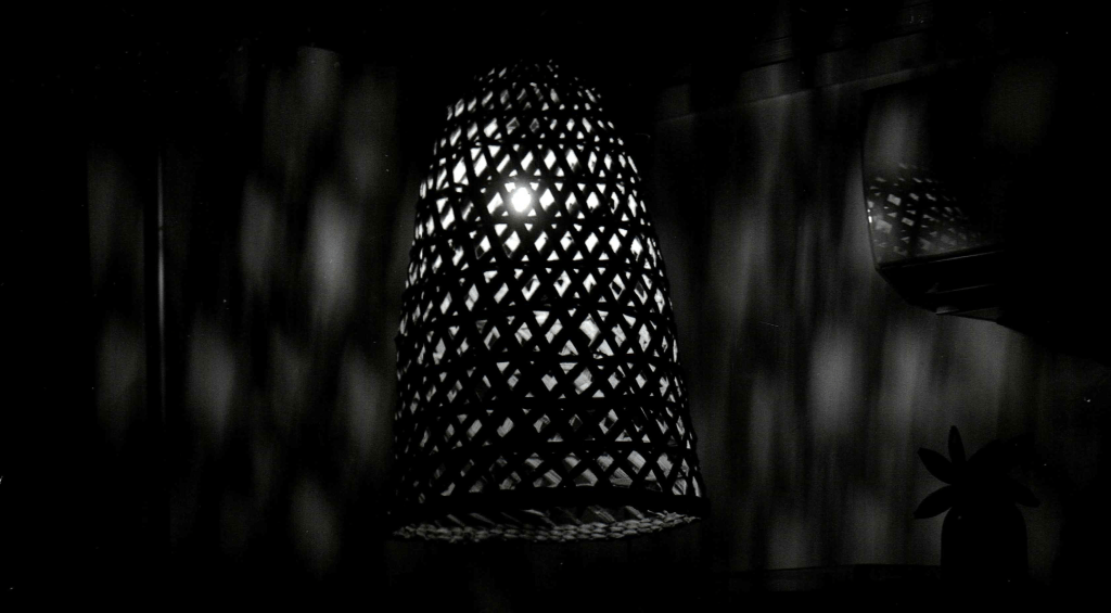 Yashicaflex Sessions 3: Optimistic&nbsp;development