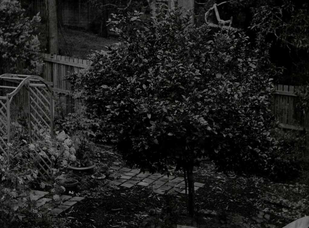 Yashicaflex Sessions 2: Seeking&nbsp;exposure